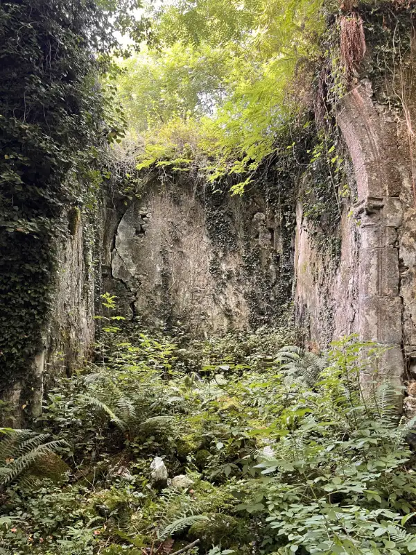 La ermita de Santa Cecilia en Solórzano, pasó de la lista roja de la conservación, a la negra. No por eso deja de tener un encanto especial, una halo romántico y misterioso, que bine merecen una visita.